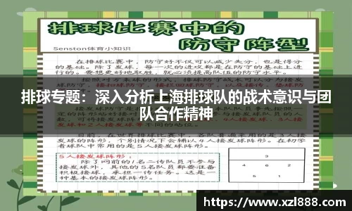 排球专题：深入分析上海排球队的战术意识与团队合作精神