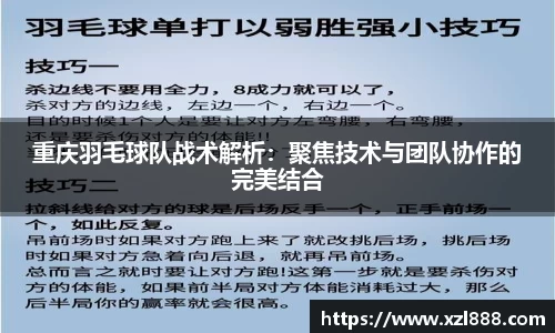 重庆羽毛球队战术解析：聚焦技术与团队协作的完美结合