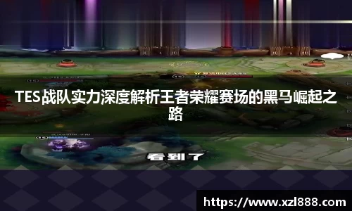 TES战队实力深度解析王者荣耀赛场的黑马崛起之路
