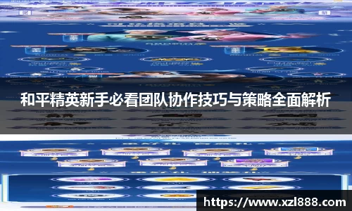 和平精英新手必看团队协作技巧与策略全面解析