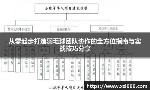 从零起步打造羽毛球团队协作的全方位指南与实战技巧分享