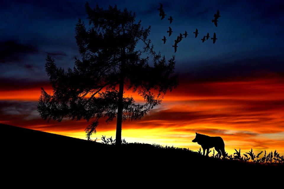 插花艺术教案中班,插花艺术教案中班反思